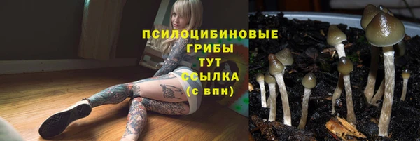 ALPHA PVP Алексин