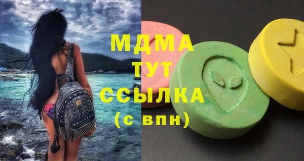 прущие грибы Вяземский