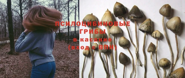 наркотики Алексеевка