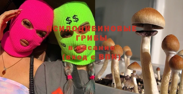 ALPHA PVP Алексин