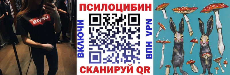 хочу наркоту  Константиновск  Псилоцибиновые грибы Magic Shrooms 